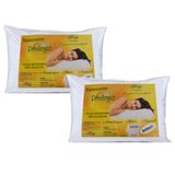 Kit 2 Travesseiros Microfibra Suporte Macio 50x70