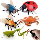 Brinquedos Infd Remoto Elétrico Inseto Animal Abelha Remota, 8411cm