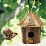 Fora Da Casa Dos Pássaros De Madeira, Casa De Pássaro Suspensa De Ventilação Para Pardais Chickadees De Passarinhos