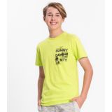 Camiseta Juvenil Masculina Em Meia Malha Minty Verde 12
