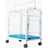 Gaiola De Transporte Para Pets Cor Branco E Azul Jel Plast Pet Au