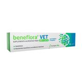 Suplemento Alimentar Avert Beneflora Vet Para Cães E Gatos 14g