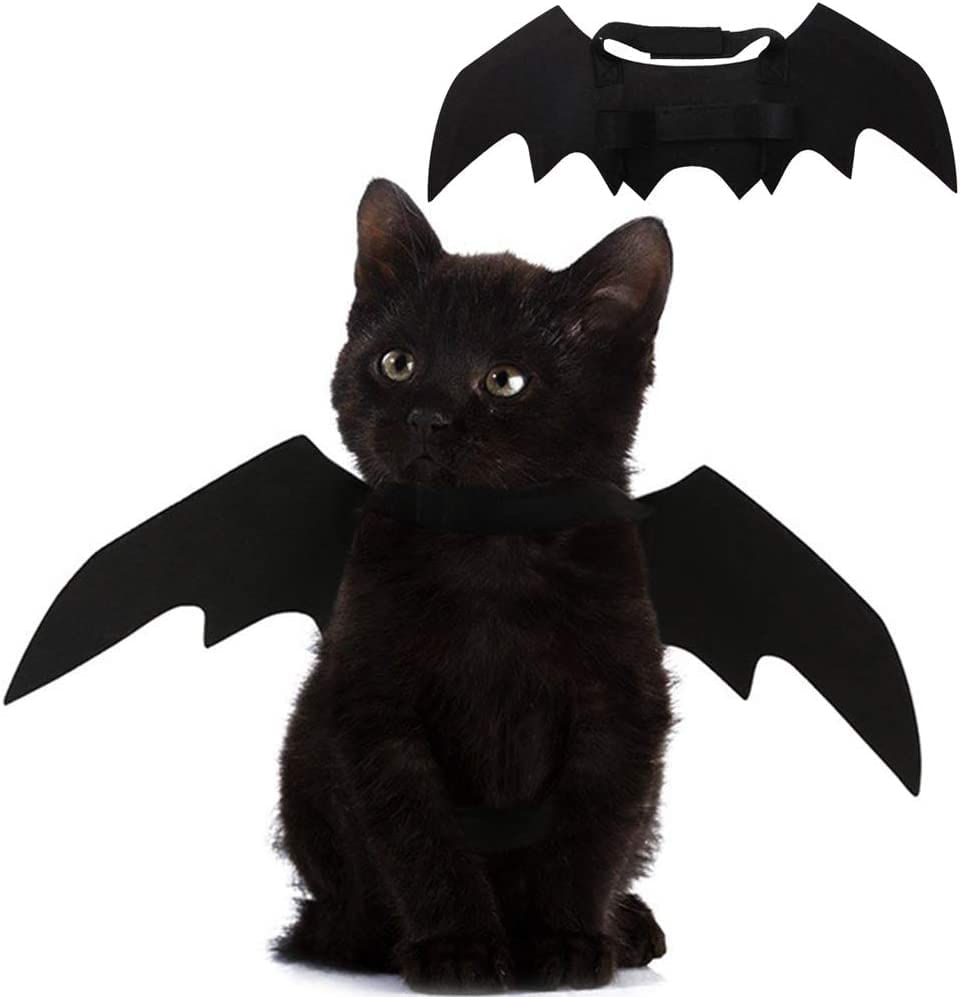 Asas De Morcego De Gato De Estimação Para Decoração De Festa De Halloween, Coleira De Filhote De Cachorro, Fantasia De Morcego Cosplay, Aces