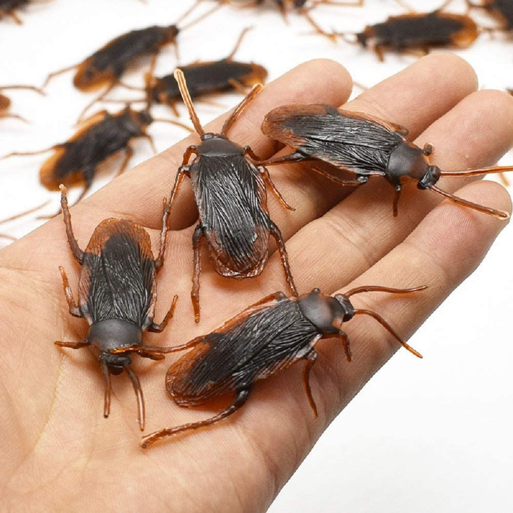 Pacote De 20 Peças Frisky Creepy Plastic Cockroaches Para Brincadeiras Divertidas De Halloween E Tricks Night Party