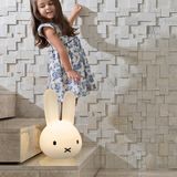 Luminária Sem Fio Coelho Bunny Miffy Colors