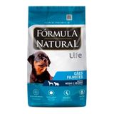 Ração Fórmula Natural Cães Filhotes Raças Médias E Grande 15kg