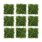 15 Painéis Artificiais 25x25cm Buxinho Para Decoração Interna Jardins Verticais De Alta Qualidade