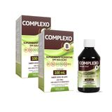 Polivitamina Complexo B Sabor Doce De Leite 2 X 100ml