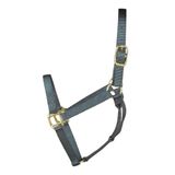 Halter Hamilton Nylon 2,54 Cm Para Cavalos 362,87 A 498,95 Kg