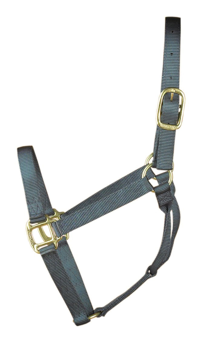 Halter Hamilton Nylon 2,54 Cm Para Cavalos 362,87 A 498,95 Kg