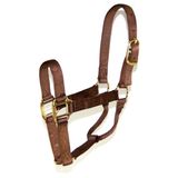 Halter Hamilton Nylon 2,54 Cm Para Sutiã Horse De 362,87 A 498,95 Kg