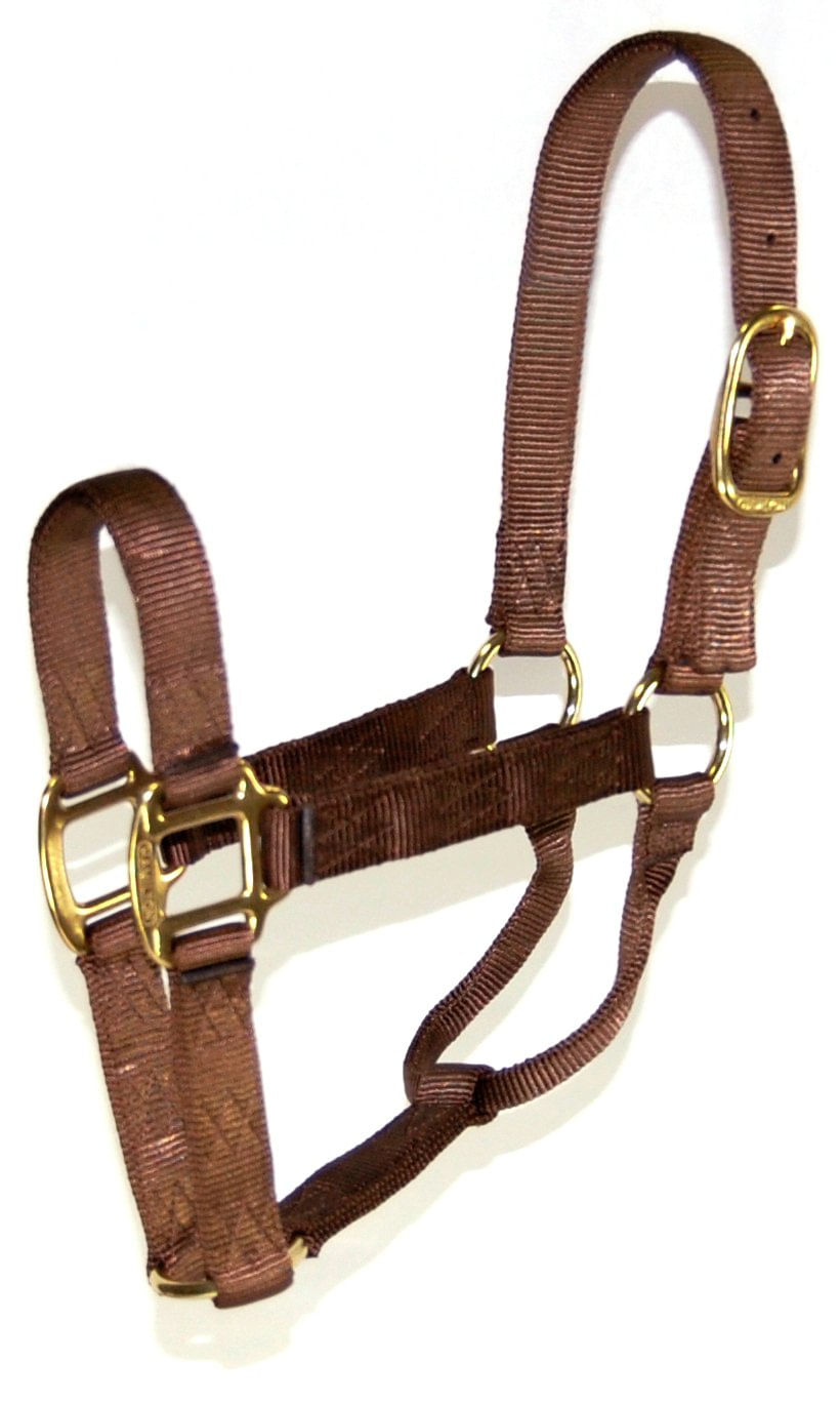 Halter Hamilton Nylon 2,54 Cm Para Sutiã Horse De 362,87 A 498,95 Kg