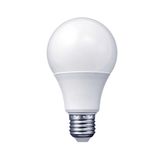 Lampada Economica De Led Fria A60 E-27 9w 127-220v