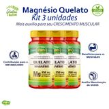 Kit 3 X Magnésio Quelato 700mg Unilife Vegano 180 Cápsulas