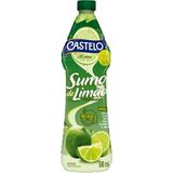 Castelo Alimentos Sumo De Limão 500ml