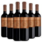 Kit Caixa Fechada 6 Garrafas Carmen Discovery Carménère