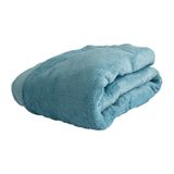 Manta Microfibra Antialérgica Casal Plush 1,80 X 2,00 - Azul Claro