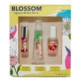 Blossom Scented Roll On Lip Gloss, Brilho Labial Hidratante