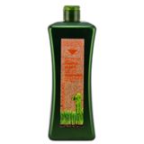 Shampoo Salerm Biokera Natura Para Cabelos Tratados 1070ml