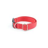 Coleira cachorro Smooty Pet M Lisa