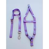 Conjunto Peitoral cachorro Smooty Pet M Listrado