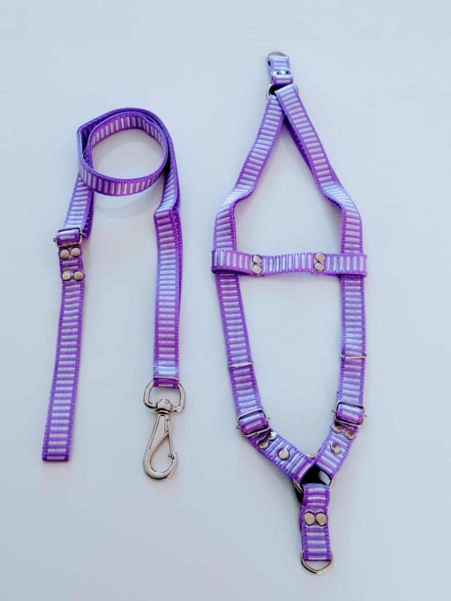 Conjunto Peitoral cachorro Smooty Pet M Listrado