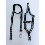 Conjunto Peitoral cachorro Smooty Pet M Listrado