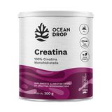 Creatina 100% Monohidratada 300g Em Pó 100 Doses Ocean Drop