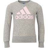 Moleton Adidas Essentials Infantil Feminino Tamanho 8-9