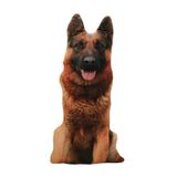 Almofada 3d Para Cães 20cm Brinquedo De Pelúcia Animal Criativo Bonito