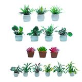 Acessórios De Casa De Bonecas Em Miniatura Birostiana 16 Peças De Plantas