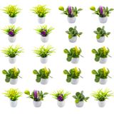 Plantas De Casa De Bonecas Em Miniatura Rileryan Mini Potted 21 Unidades