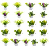 Plantas De Casa De Bonecas Em Miniatura Rileryan Mini Potted 21 Unidades