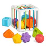 Brinquedo Shape Sorter Tiyol De 12 A 18 Meses Com Compartimento De Cubos E 6 Blocos