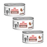 Caixa 3un Ração Úmida Royal Canin Veterinary Diet Recovery 195g