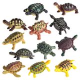 12x Realistic Sea Animal Turtle Figuras De Ação Aniversário