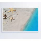 Quadro Estrela Do Mar 60x40 Cm Adesivo Fotográfico