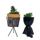 kit decorativo de vaso tripé geométrico e Bob preto com suculenta