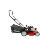 Cortador De Grama Robusta Gasolina 3,8hp 2t