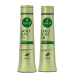 Shampoo Condicionador Jaborandi 500ml Haskell Fortalecedor