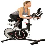 Bicicleta Ergometrica Com 13 Velocidades E Assento Ajustavel, Sunny Health Fitness Sf B1709, Preto