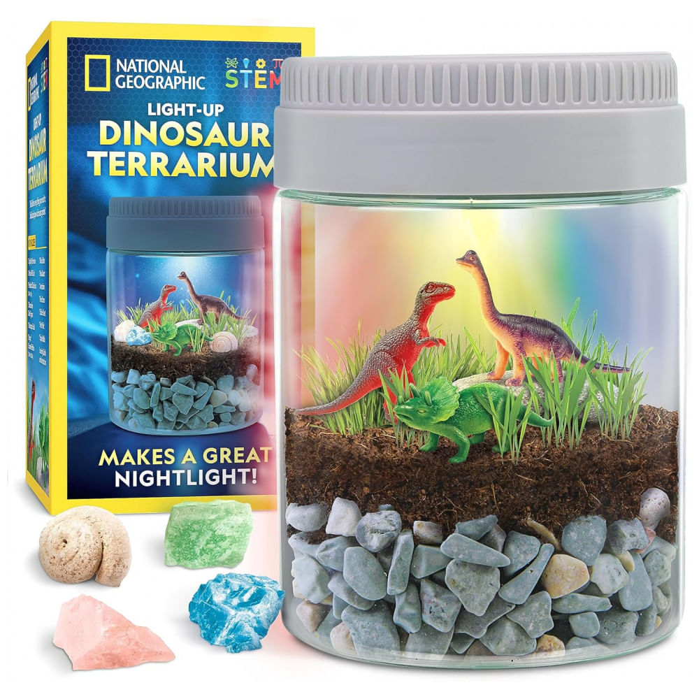 Kit De Terrário Iluminado Multicolorido De Dinossauros Para Crianças, National Geographic