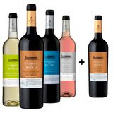 Kit 4 Vinhos Português Seleção Dos Enólogos + 1 Vinho Reserva Grátis