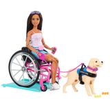 Boneca Barbie Articulada Cadeira De Rodas Cão Serviço Hjy85 Mattel