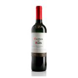 Vinho Casillero Del Diablo Cabernet Sauvignon 750ml