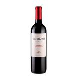 Vinho Benjamin Nieto Cabernet Sauvignon 750ml