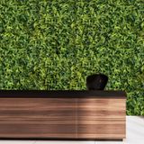 10 Painéis De Parede Artificial Plantas De Samambaias Para Uso Interno De Fácil Instalação Placas De 60x40cm