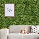 9 Placas De Samambaia 60x40 Jardim Vertical Uso Interno Decoração De Casa Com Mais Verde Plantas Permanentes