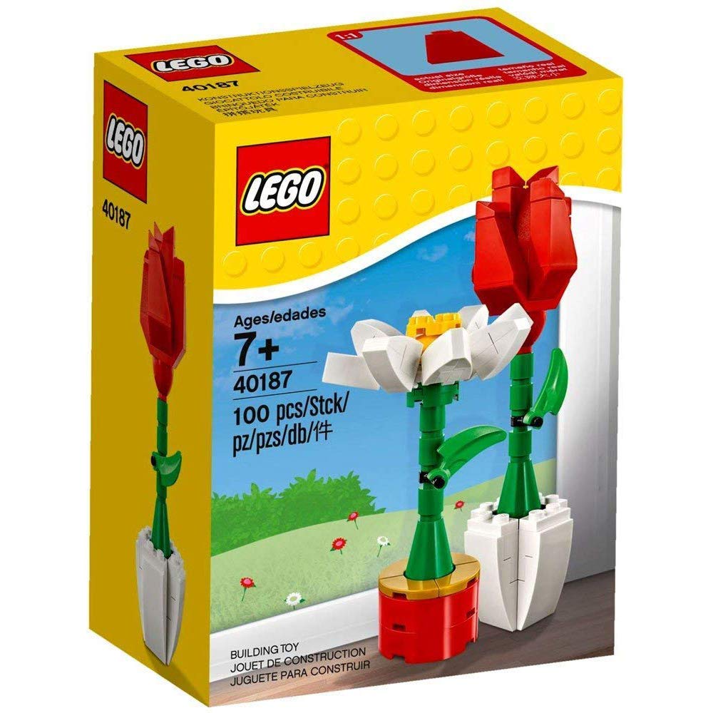 Brinquedo Lego Flower Display 40187 Com 100 Peças Para Crianças