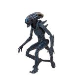 Figura De Ação Neca Alien Vs Predator Arachnoid Alien 7